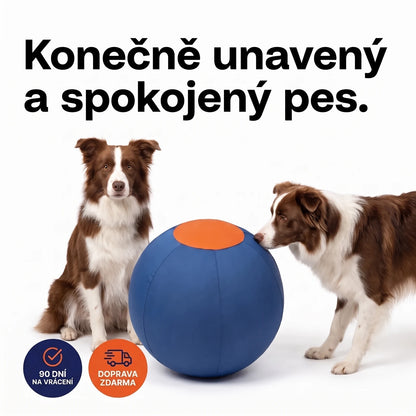 Konečně unavený a spokojený pes — dva border kolie a velký modrý honící míč, 90 dní na vrácení