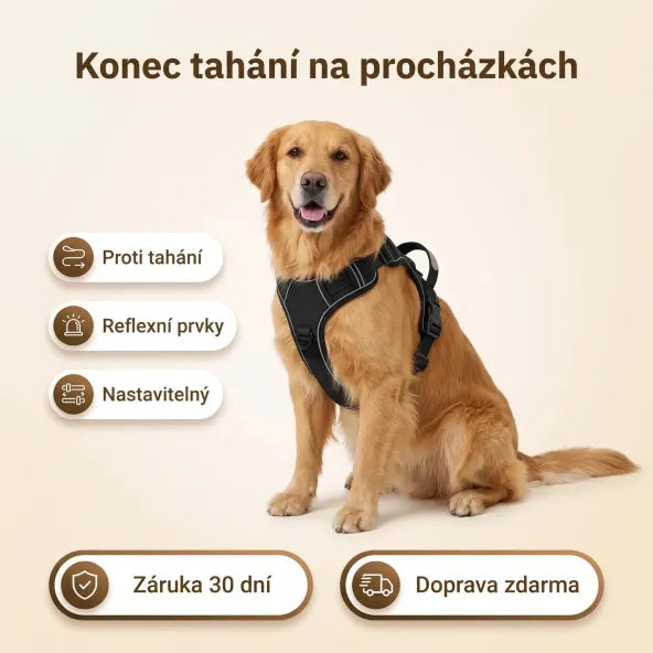 Postroj proti tahání pro psy