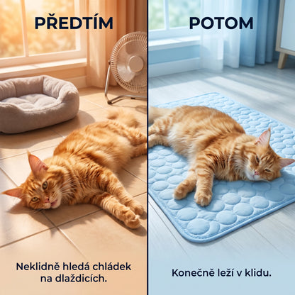 CoolPaw Cat