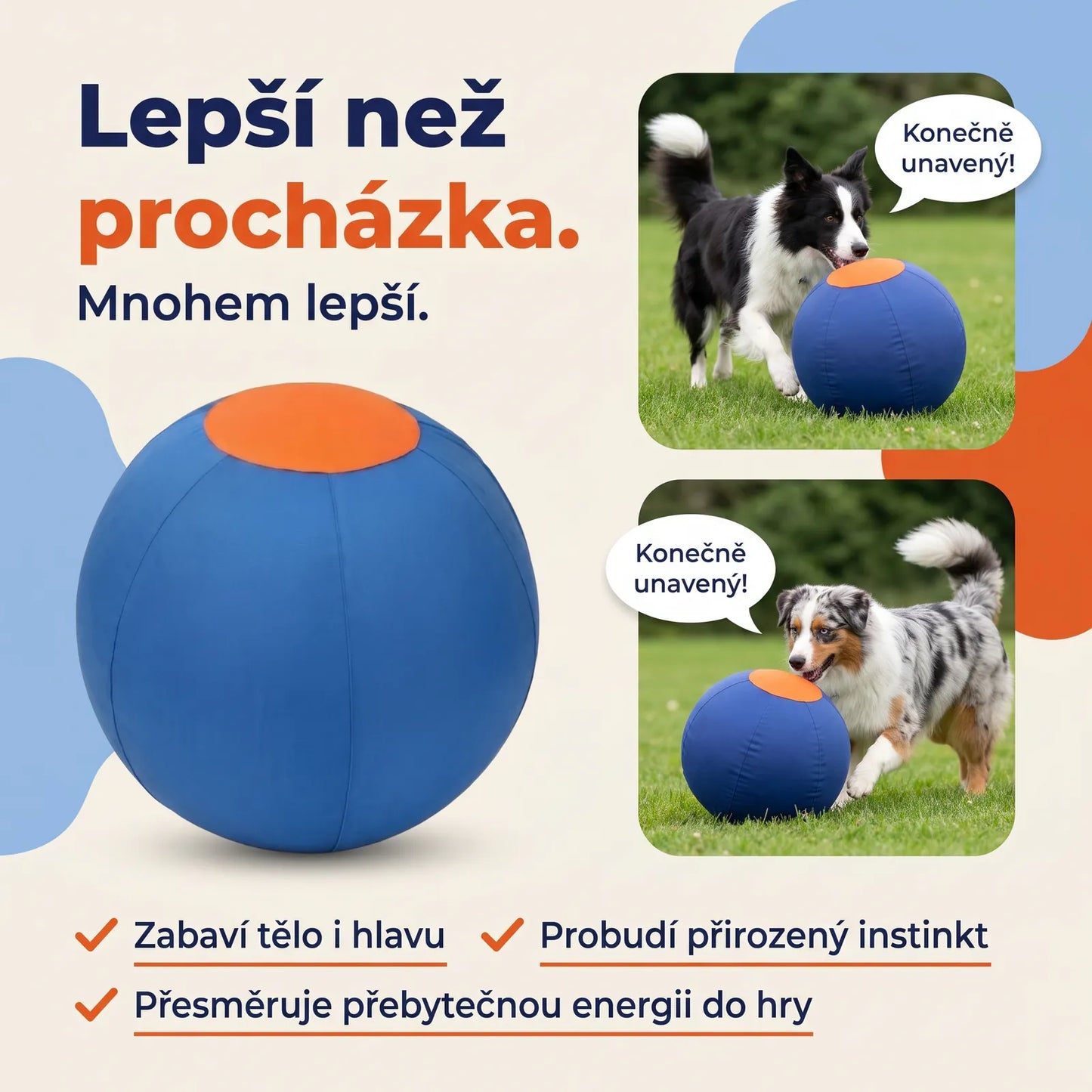 Lepší než procházka — pes žene modrý míč, zabaví tělo i hlavu