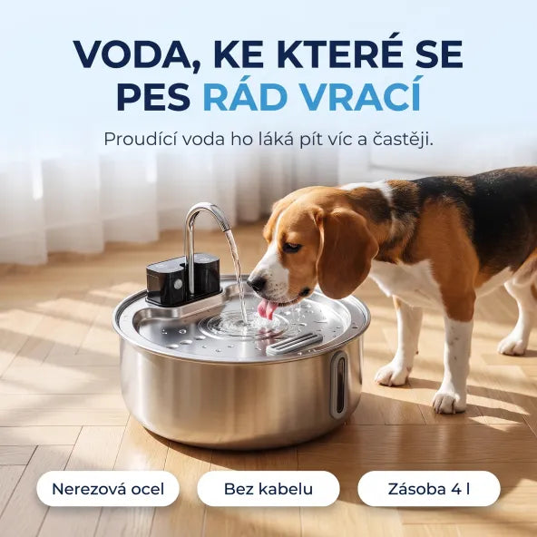 Fontána pro psy