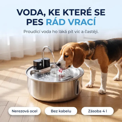 Fontána pro psy