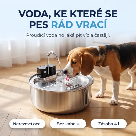 Fontána pro psy