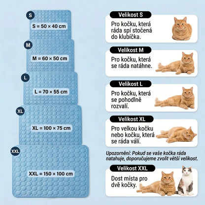 CoolPaw Cat