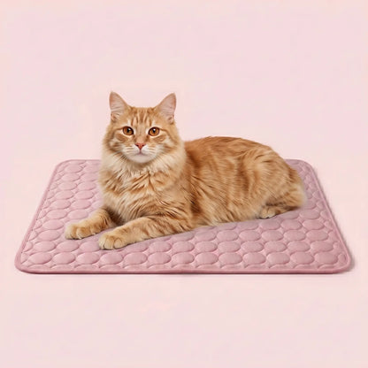 Kočka odpočívá na růžové chladivé podložce CoolPaw