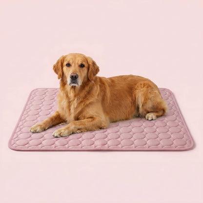 CoolPaw