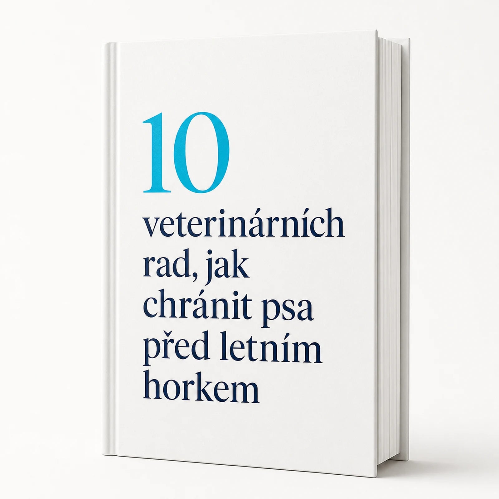 10 veterinárních rad, jak chránit psa před letním horkem