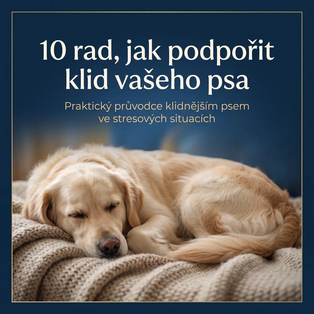 10 rad, jak podpořit klid vašeho psa e-book