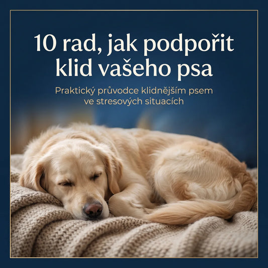10 rad, jak podpořit klid vašeho psa – obálka e-booku